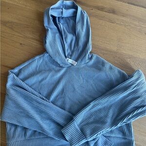 Alo yoga muse hoodie in light blue / grey color